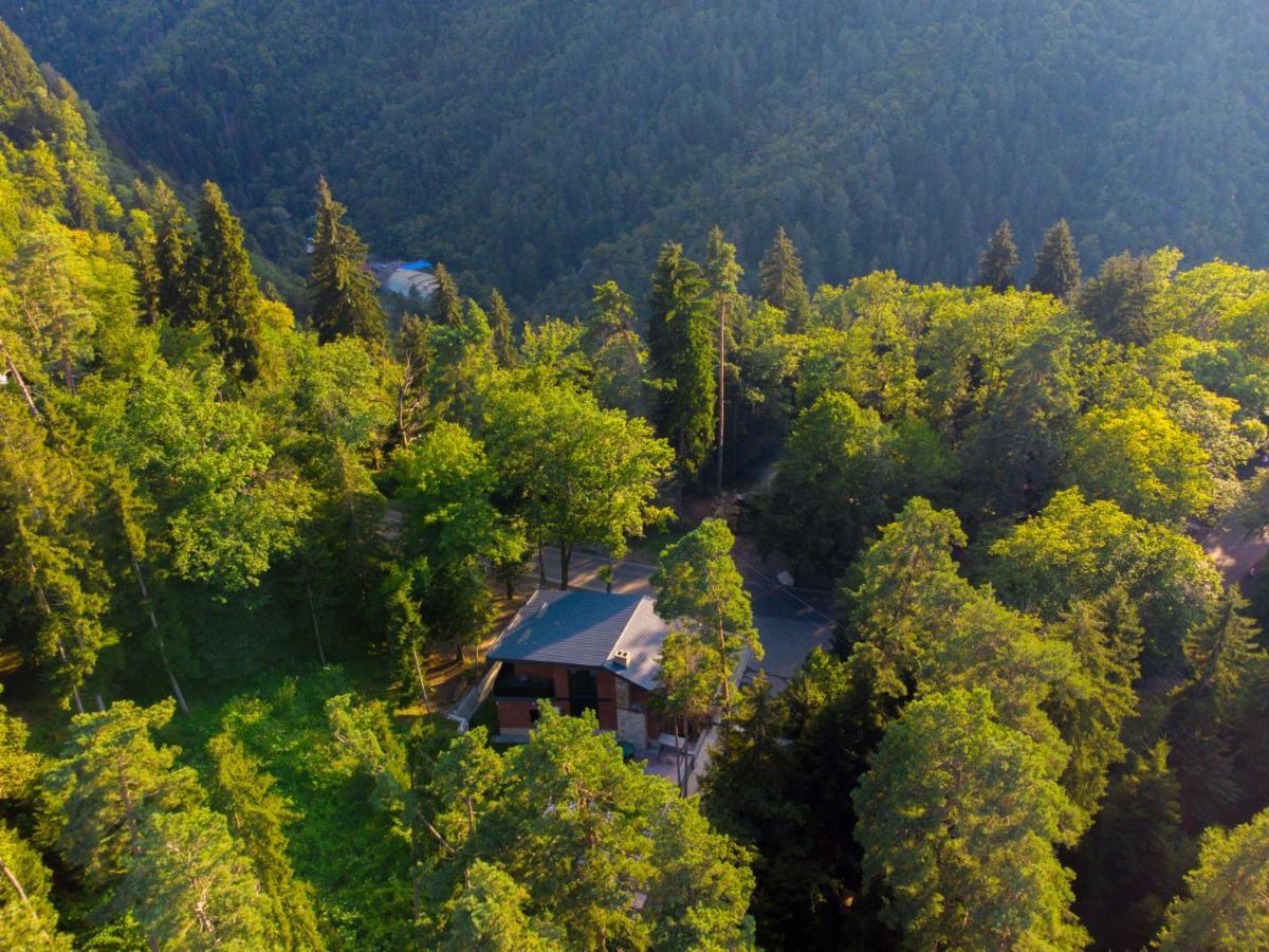 Hotel Evergreen Borjomi Exterior foto